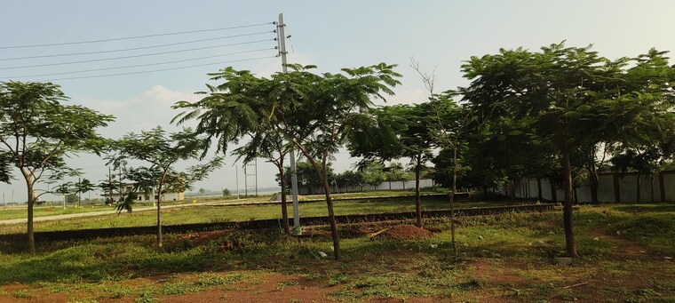 Exterior View, dhamtari road  1000 Sq.Ft. Plot In Dhamtari Road Raipur 8478526