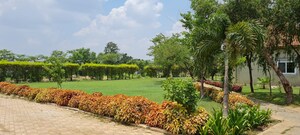 2 BHK Villa – Garden View at Dhamtari Road - for Sale