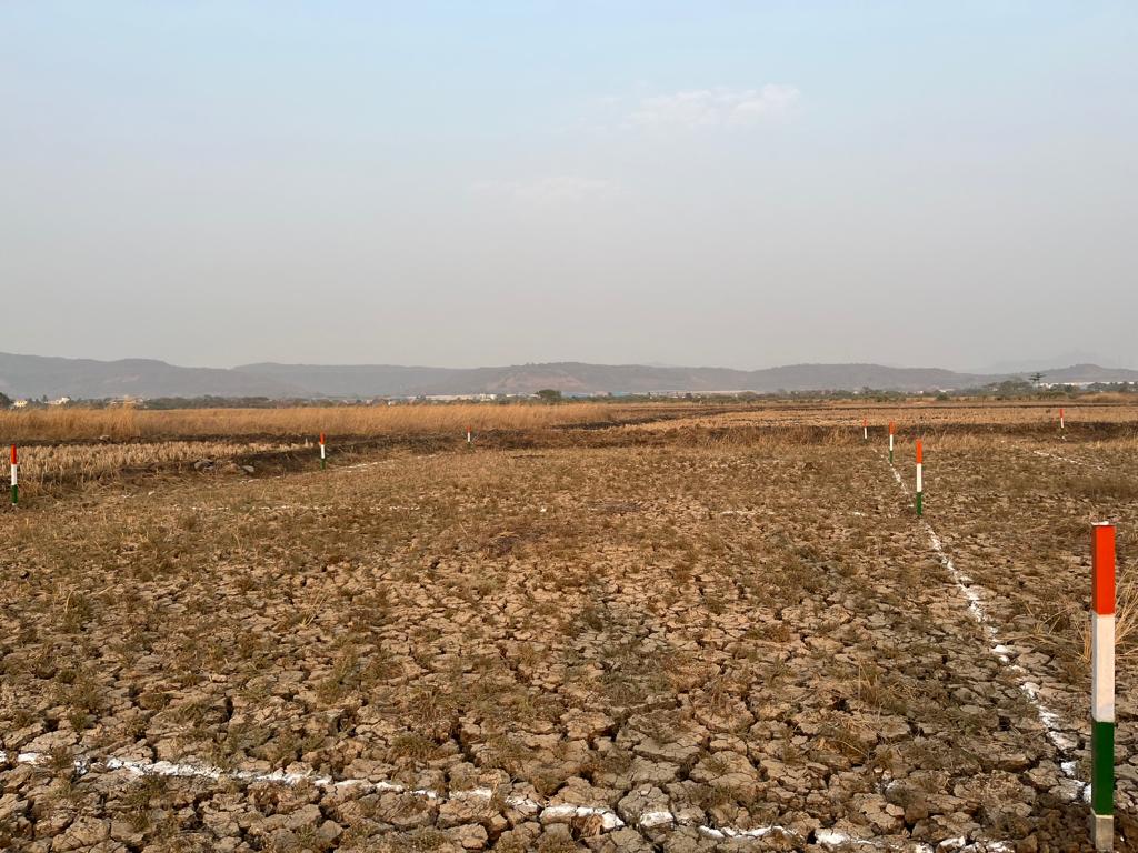 Plot For Sale in Dronagiri