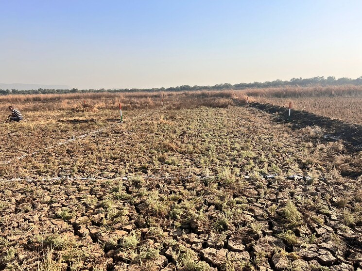 Exterior View, dronagiri  1089 Sq.Ft. Plot In Dronagiri Navi Mumbai 8478568