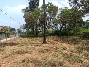  Plot – Exterior View View at Palaspa - for Sale