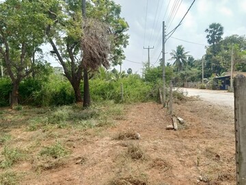  Plot – Exterior View View at Palaspa - for Sale
