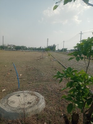  Plot For Sale in Kothur
