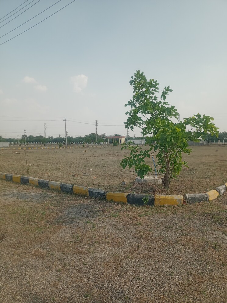 Garden, kothur  250 Sq.Yd. Plot In Kothur Hyderabad 8479479