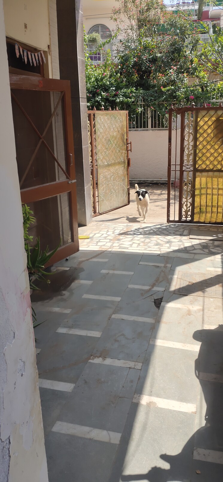 Exterior View, new agra colony 4 Bedroom 138 Sq.Yd. Independent House In New Agra Colony Agra 8479624