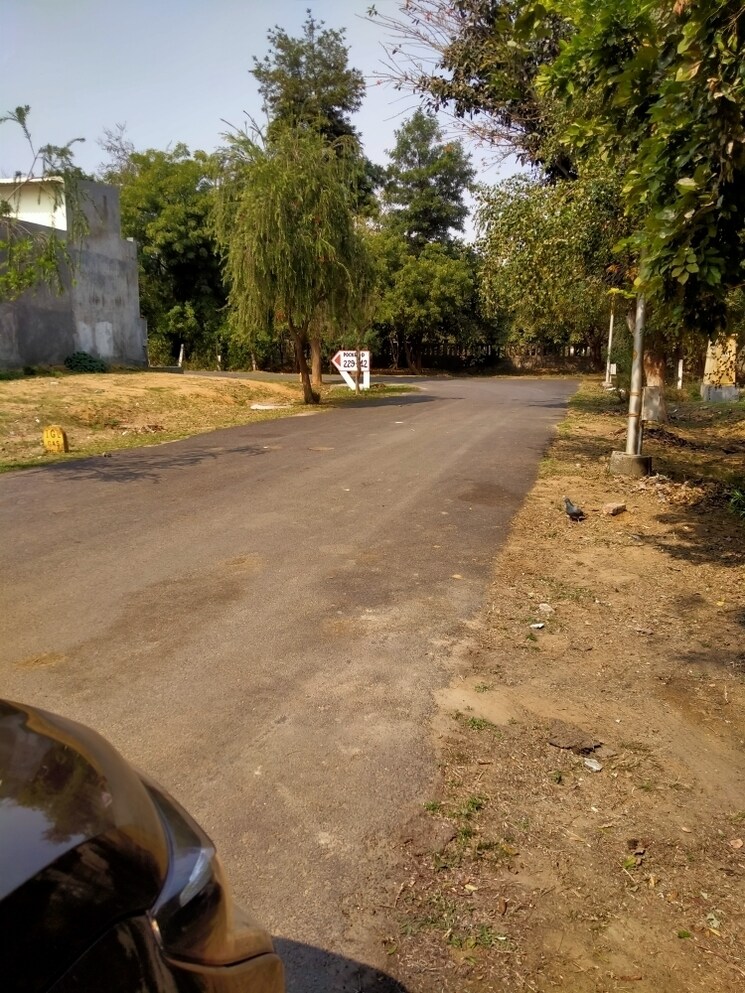 Gym, sector 36 greater noida 2 Bedroom 108 Sq.Yd. Independent House In Sector 36 Greater Noida Greater Noida 8479665