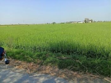  Land – Exterior View View at Lohia Nagar - for Sale