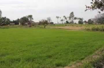  Land – Exterior View View at Lohia Nagar - for Sale