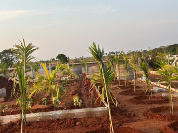  Plot – Exterior View View at Sri Bhumi Eeshaanya, Kankipadu - for Sale