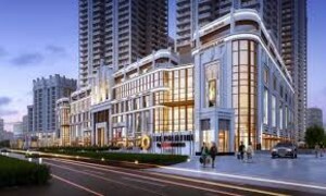 Living Room in 4 BHK Apartment at Hero Homes Palatial, Sector 104 – for Sale