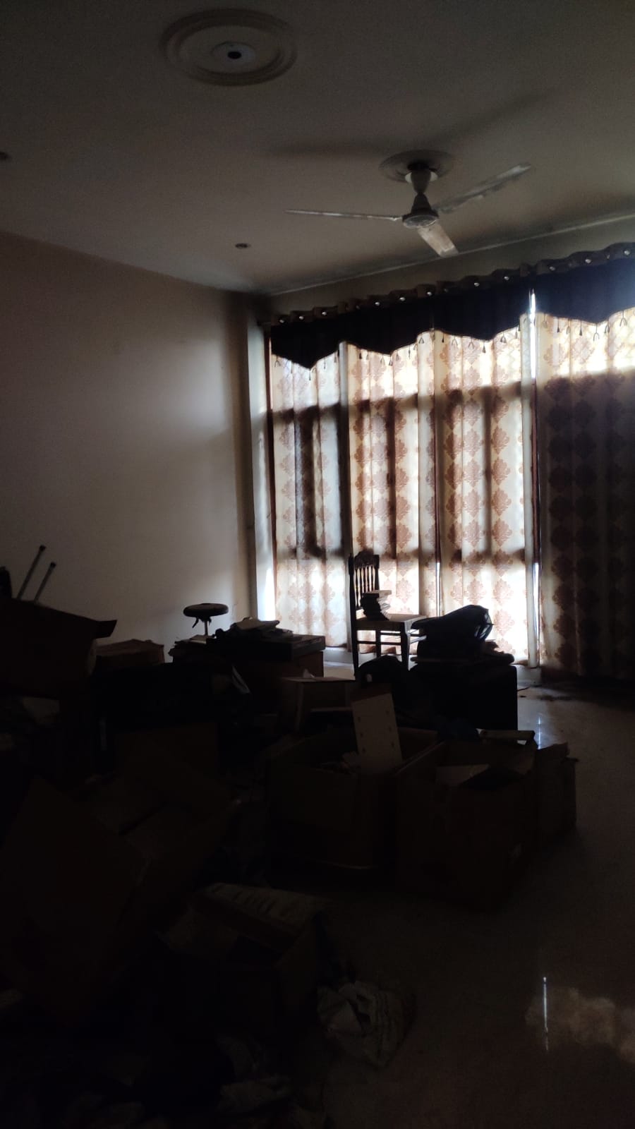 6 BHK + Pooja Room,Study Room Independent House For Sale in Sector 41