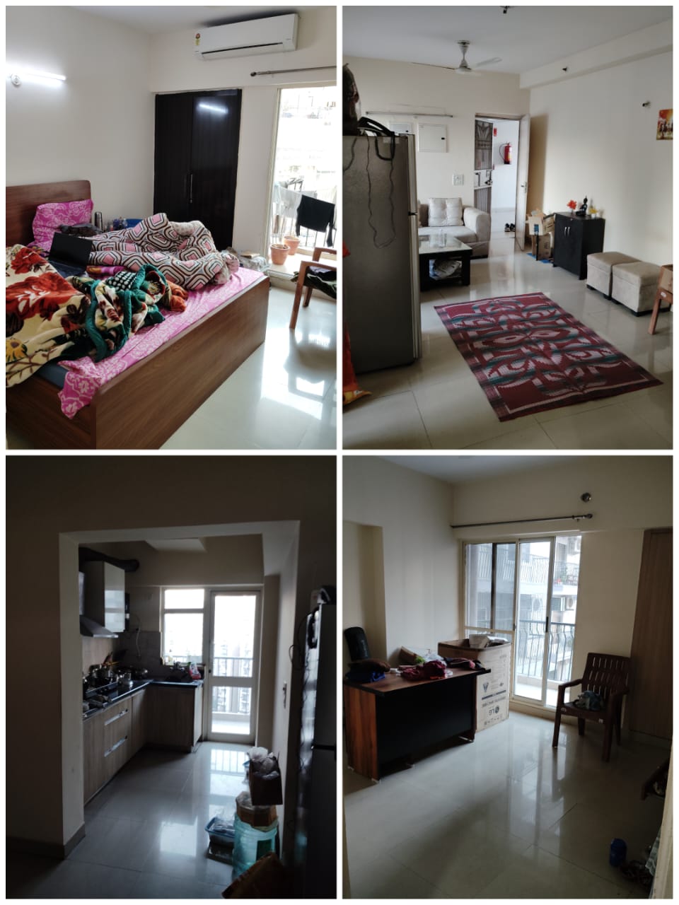 6+ BHK + Pooja Room,Study Room Independent House For Sale in Sector 41