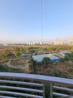 Living Room in 3 BHK Apartment at Tulip Petals, Sector 89 – for Sale