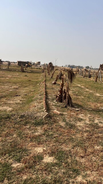  Plot For Sale in Jewar