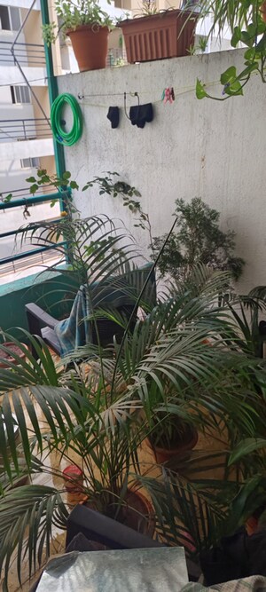 2 BHK Apartment – Exterior View View at Dreams Elegance, Handewadi Road - for Sale