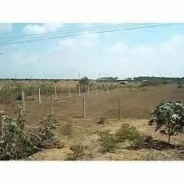  Plot – Garden View at Sector 110 - for Sale