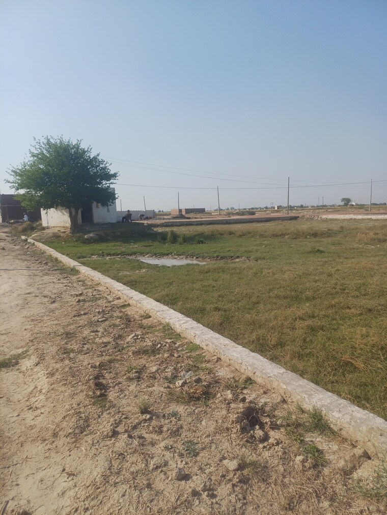 Garden, jewar  175 Sq.Yd. Plot In Jewar Greater Noida 8483362