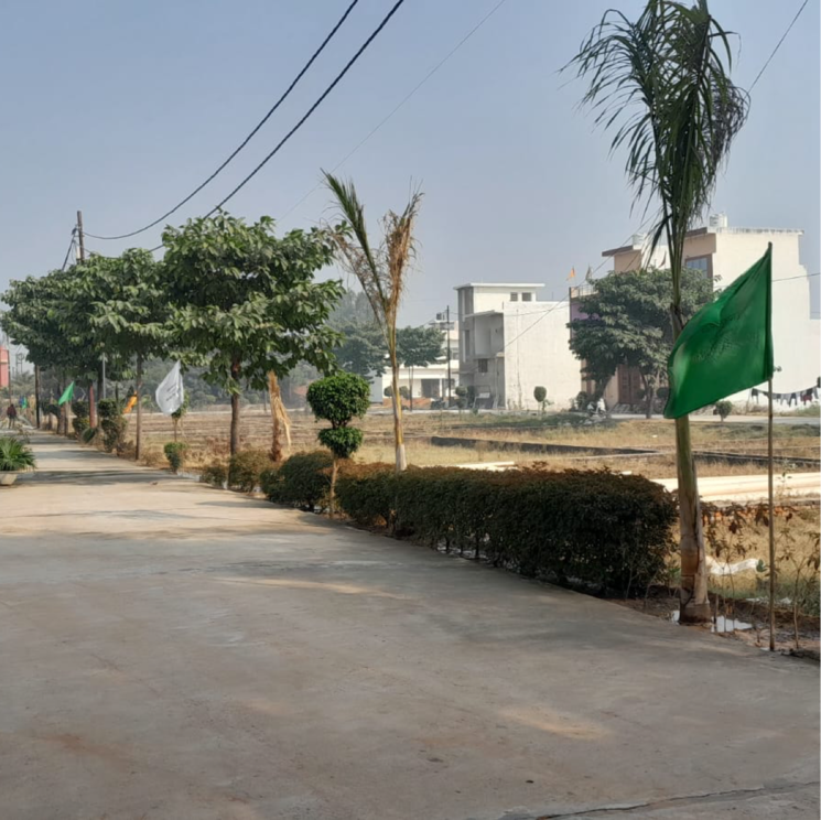 Living Room, india-expo-mart  100 Sq.Yd. Plot In Knowledge Park Ii Greater Noida Greater Noida 8483406