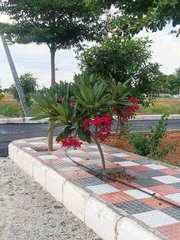 Plot Area in  Plot at Mansoorabad – for Sale