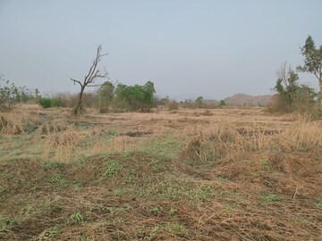Plot Area in  Land at Mangaon – for Sale
