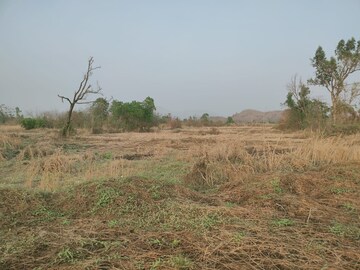 Plot Area in  Land at Mangaon – for Sale
