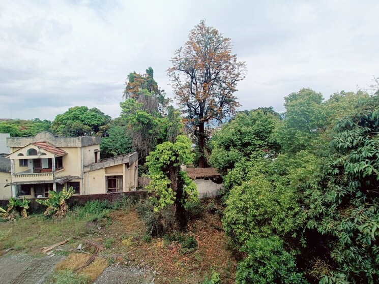 Kitchen, dalanwala Studio 500 Sq.Ft. Builder Floor In Dalanwala Dehradun 8483763