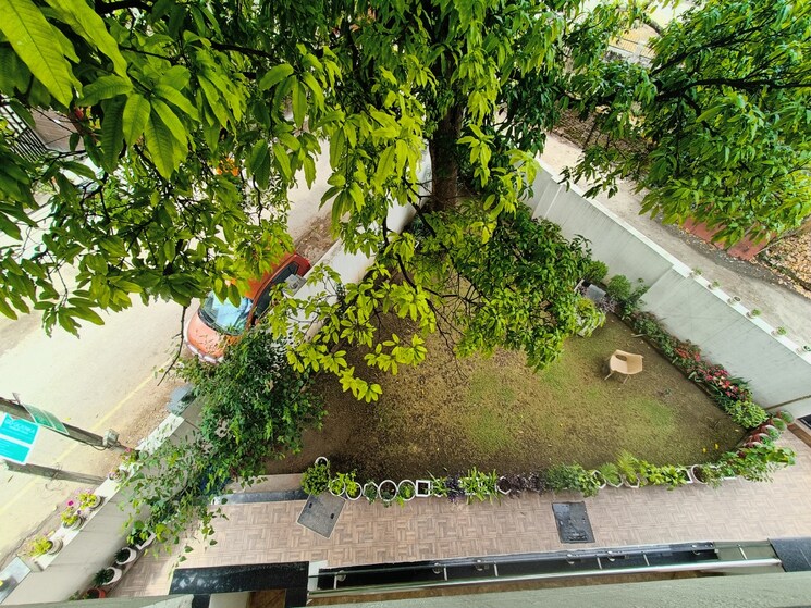 Living Room, dalanwala Studio 500 Sq.Ft. Builder Floor In Dalanwala Dehradun 8483763