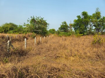  Land For Sale in Mangaon