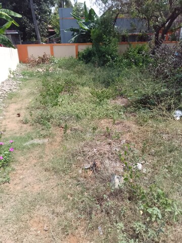  Plot – Exterior View View at Venkatesapuram - for Sale