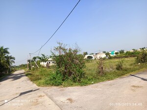  Plot – Garden View at Panagar - for Sale