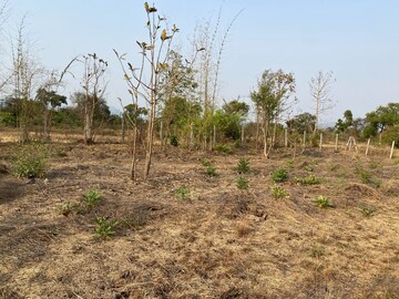  Plot – Garden View at Alibag - for Sale