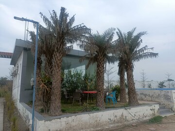  Plot For Sale in Jewar