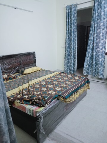 3 BHK Builder Floor For Rent in Sector 39