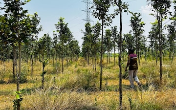Land For Sale in Andipatti