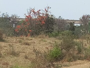Plot Area in  Plot at Titwala – for Sale