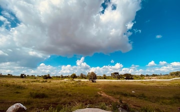 Plot For Sale in Anna Nagar
