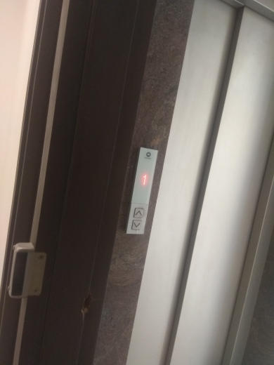 4 BHK + Pooja Room,Servant Room,Study Room,Extra Room Builder Floor For Sale in Mishra Propati 