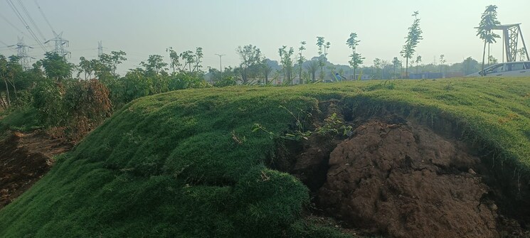 Garden, silpa-raghava-botanica Commercial Land 360 Sq.Yd. In Mucherla Hyderabad 8485966