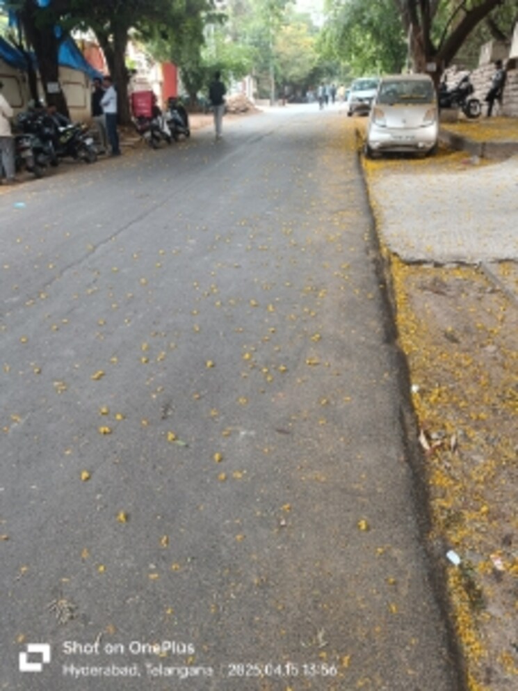 Exterior View, banjara hills  2400 Sq.Yd. Plot In Banjara Hills Hyderabad 8485958