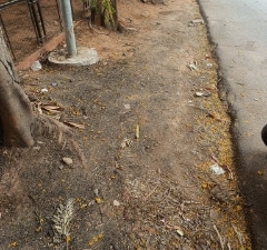 Plot For Sale in Kollur