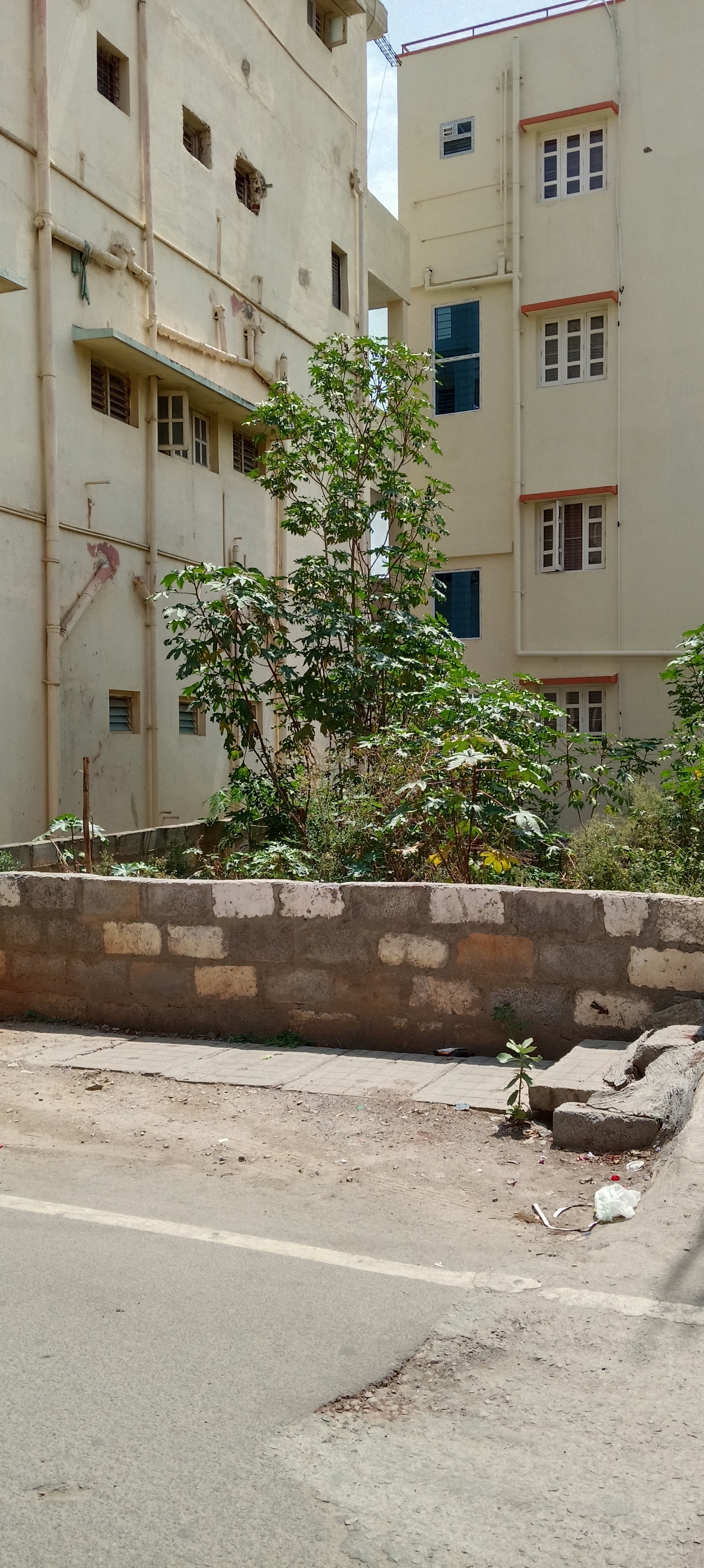 Plot For Sale in Individual Plot 