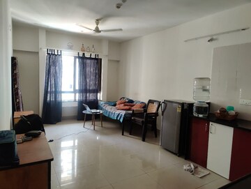 1 BHK Apartment For Rent in Paranjape Blue Ridge, Hinjewadi