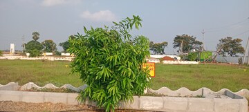  Plot – Exterior View View at Sri Bhumi Eeshaanya, Kankipadu - for Sale