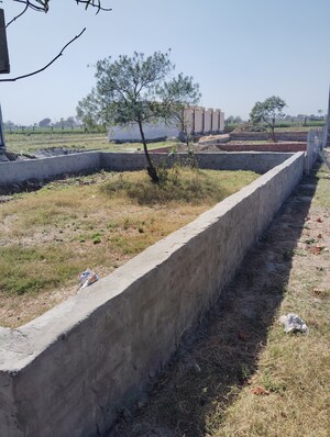 Plot Area in  Plot at Sector 16 A – for Sale