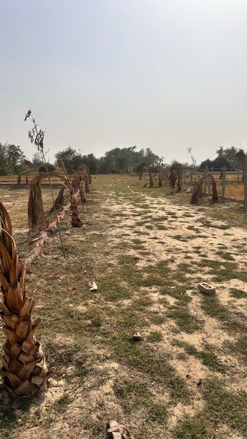  Plot – Exterior View View at Jewar - for Sale