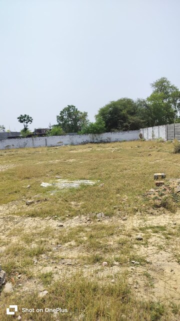 Plot Area in  Plot at Kamta – for Sale