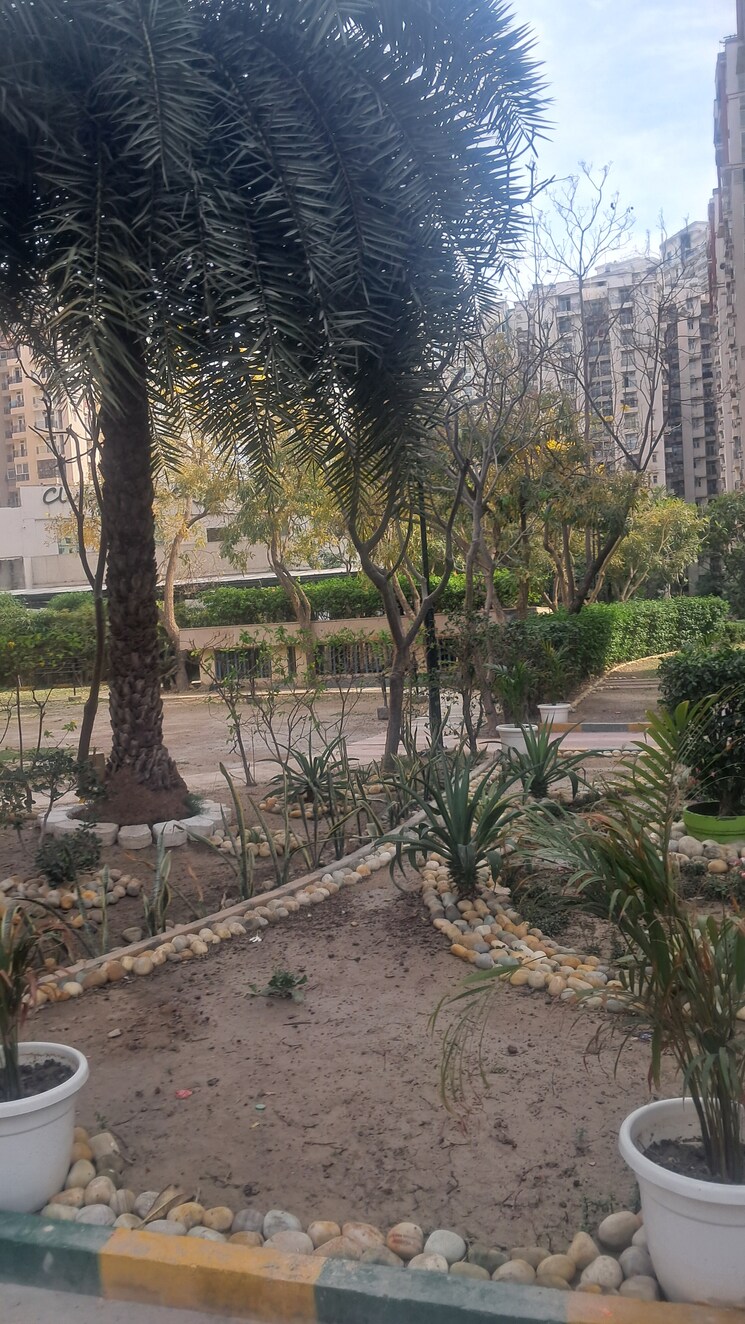 Exterior View, amrapali-princely-estate 2.5 Bedroom 1015 Sq.Ft. Apartment In Sector 76 Noida 8487006