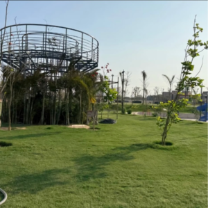 3 BHK Apartment – Garden View at Tulip Yellow, Sector 69 - for Sale