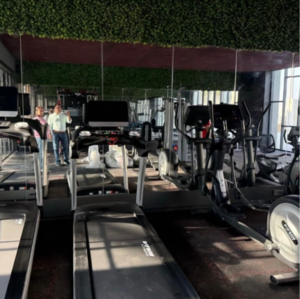 Gym in 3 BHK Apartment at Tulip Yellow, Sector 69 – for Sale