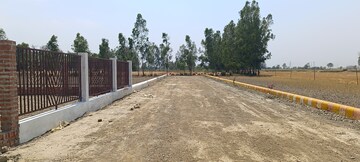 Plot Area in  Plot at Gosainganj – for Sale